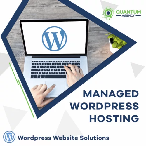 Managed Wordpress Hosting service