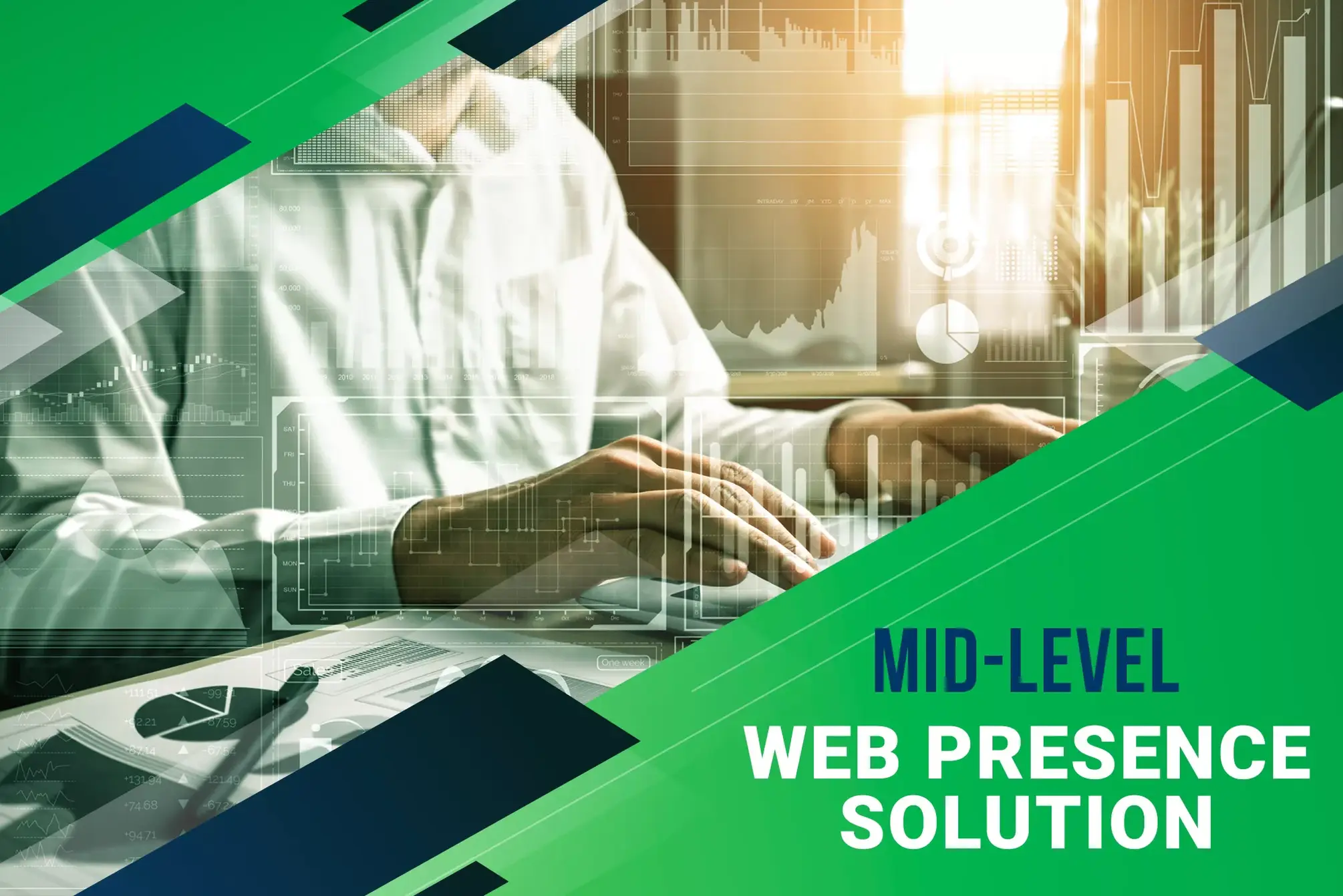 Mid level white label digital marketing package