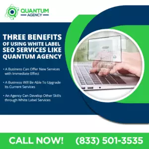 best white label seo firm
